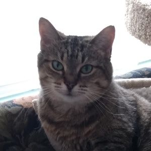 Meet your Posher, Kellie